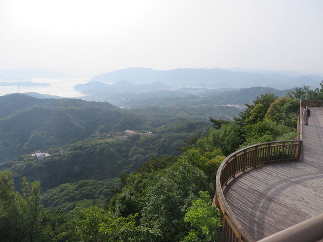 �Ԃ���񂳂�̍����R�W�]��̓��e�ʐ^3