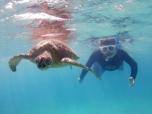 �킽�����E�~�K��_�A�}�~�G���V�X