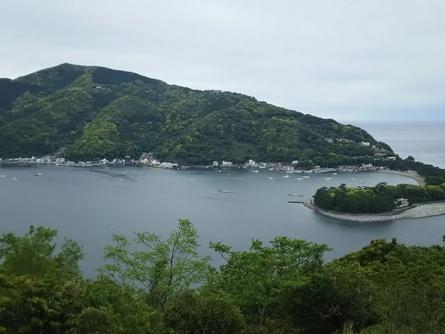 �ɓ��̂����΂���l������i�ł��B_�o������