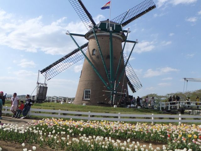 �`���[���b�v�ƕ���_�I�����_���ԃ��[�t�f