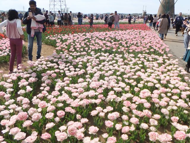 �`���[���b�v�ƕ���_�I�����_���ԃ��[�t�f