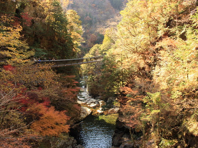 �k�J_�݂��炢�k�J�̍g�t