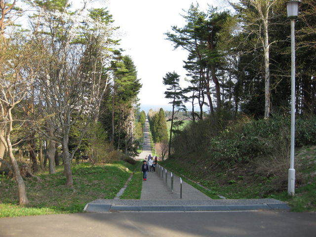 �U��Ԃ��_�����V�g�[���̐����C���@�i�g���s�X�g�C���@�j