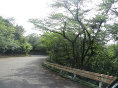 花ちゃんさんの高見山公園の桜の投稿写真2