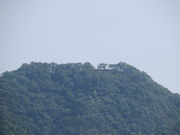 Ԃ񂳂̐A隬̓eʐ^1