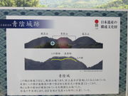 Ԃ񂳂̐A隬̓eʐ^2