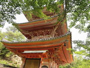 Ԃ񂳂̌㎛Od̓eʐ^1