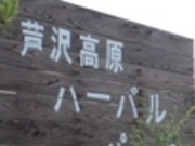 ANZ[JC̈򍂌n[op[N̓eʐ^1