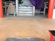 �G����̈����Ђ̓��e�ʐ^1