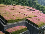 ǂ݂̕ʎqRLOق̓eʐ^1