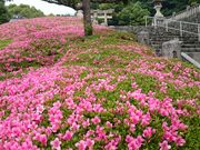 ǂ݂̕ʎqRLOق̓eʐ^3