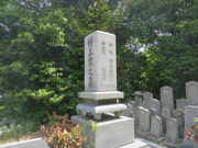 �Ԃ���񂳂�̑���`�O���{���̓��e�ʐ^2