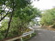 花ちゃんさんの高見山公園の桜の投稿写真1