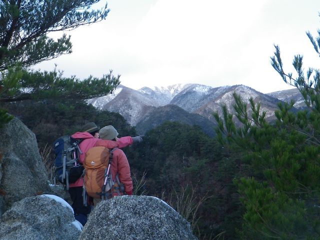 ���R����]�ޗ����x_���R