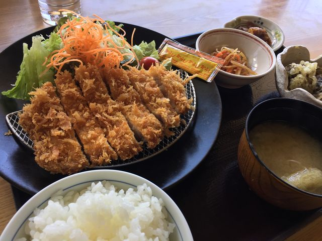 �ł����g���J�c�������I_�܂�Ă񐯂̓��@���R�̌�