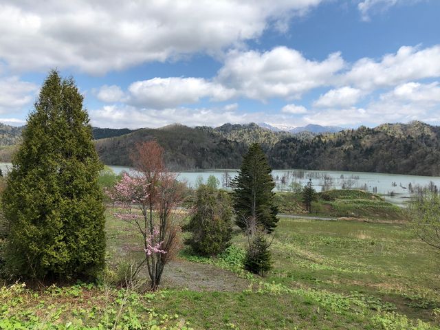 �x�ǖ삩��[���֌���������452������������s��Ȍi�F�������̂ŎB�e���Ă݂܂����B_�V���[�p����