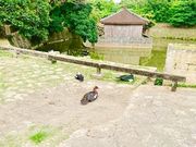 �����E�w�C����̗������̓��e�ʐ^1