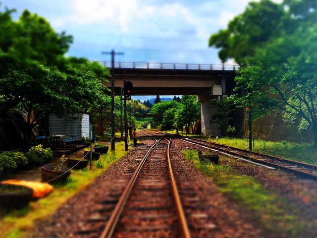 �X�[�p�[�J�[�g����̒���_����䂠�܂Ă炷�S���i�� �����w�\���j