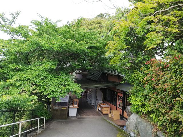 �߂����Ꭹ�R�Ŗ������[(^^)_�e�c����16