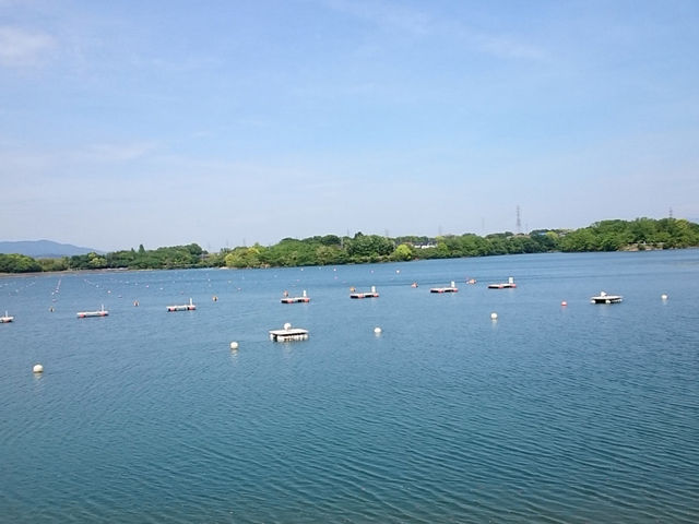 �O�D�r_�O�D����