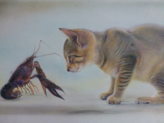 �ɂ�߂���_���̉w�₢�� �G�R���f���n�E�X�i�Ȗ،���s�j