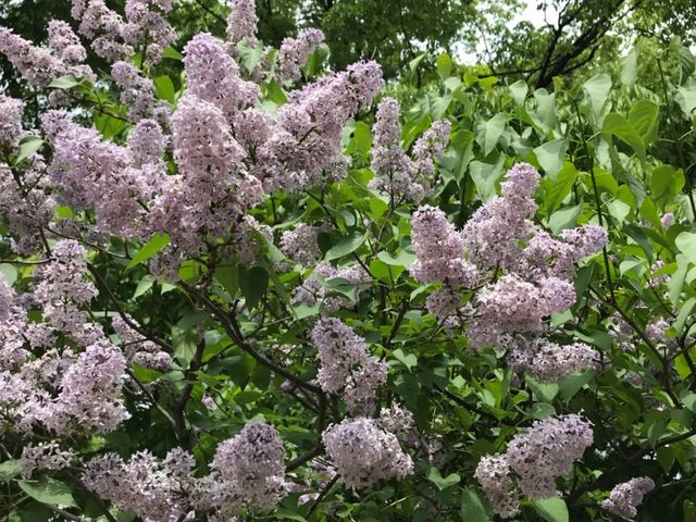 ���C���b�N_��ʌ����̃��C���b�N