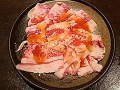 scott̏nē΂ Fs{Xւ̓eʐ^1