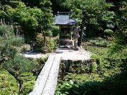 񂿂񂳂̖M̓eʐ^1