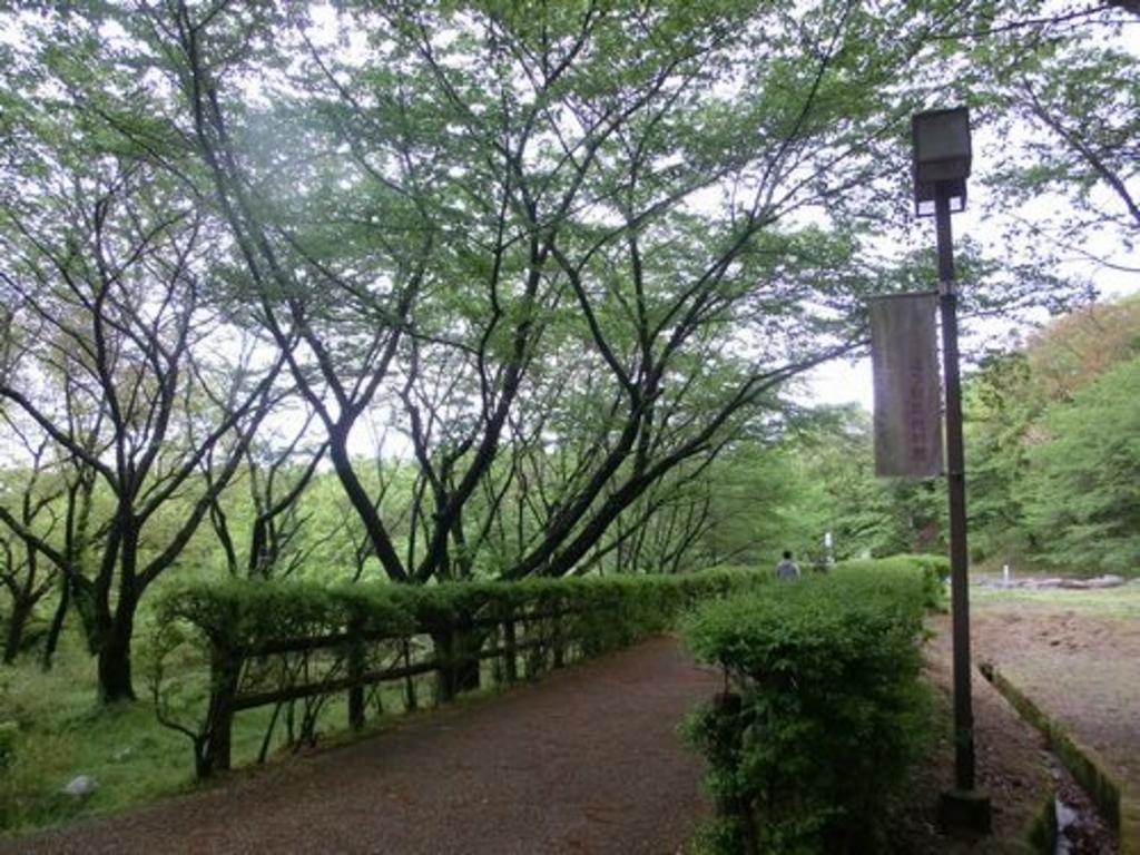 八尾駅周辺の公園 庭園ランキングtop10 じゃらんnet