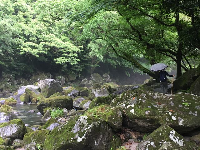 �ۂނ����X��_�Y��̑�