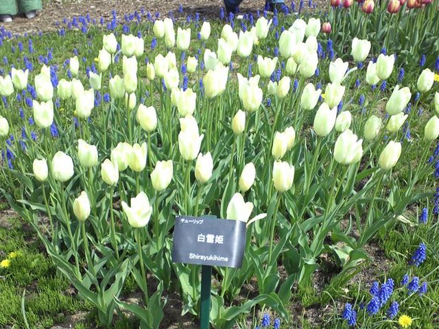 ����P�B_�S����������