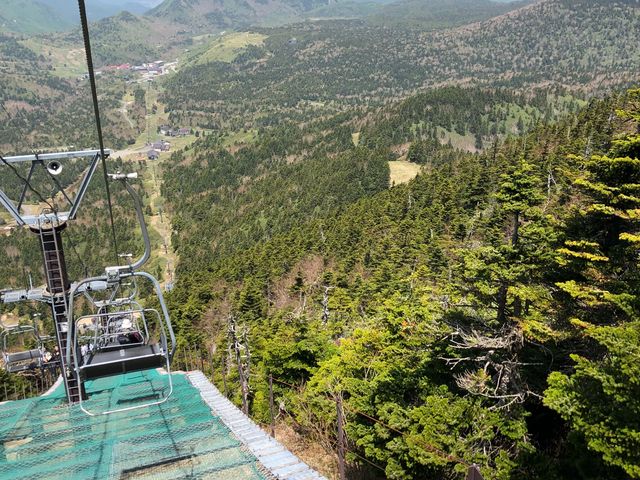 ����͌��\�}�Ɋ����܂�_�u�ꍂ������R�R��