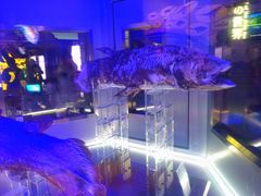 �S�W������̏��Í`�[�C�����ف`�V�[���J���X�E�~���[�W�A���`�ւ̓��e�ʐ^1