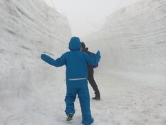 ނ񂳂̗RAy[gyxRzւ̓eʐ^1