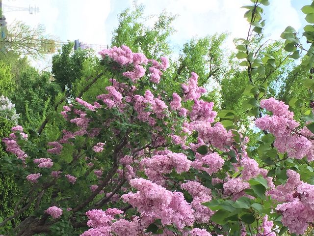 5���ڂ̃��C���b�N_��ʌ����̃��C���b�N