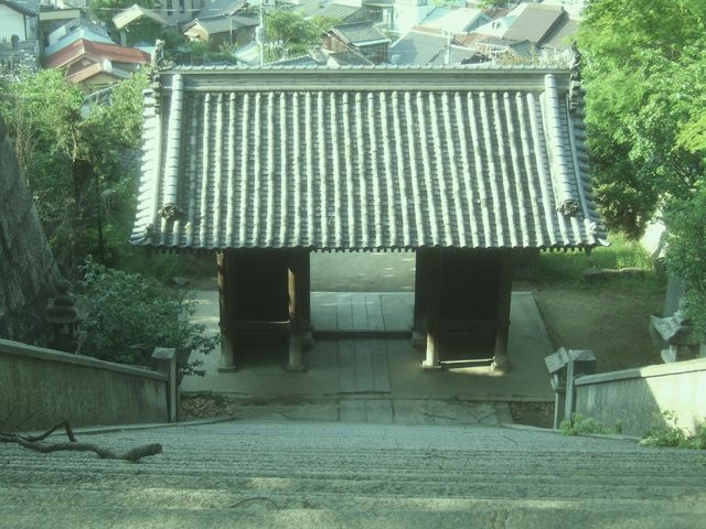 ���̑�ъē̉f��ł��܂�ɂ��L���ɂȂ��������̊K�i�ł��B_�䑳�V���{