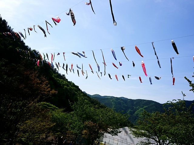 �����̂ڂ�_�_�肢�����̑��O���[���G�R�[�}�`