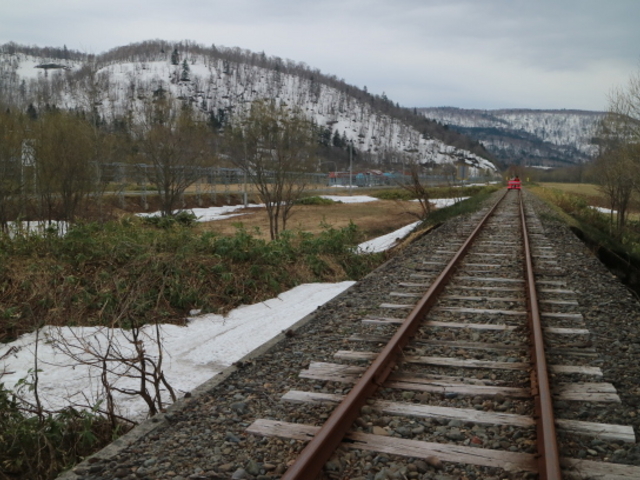 fv͂܂ႪcĂ܂AĂ͗΂̃glȂ̂ł傤_gbR[