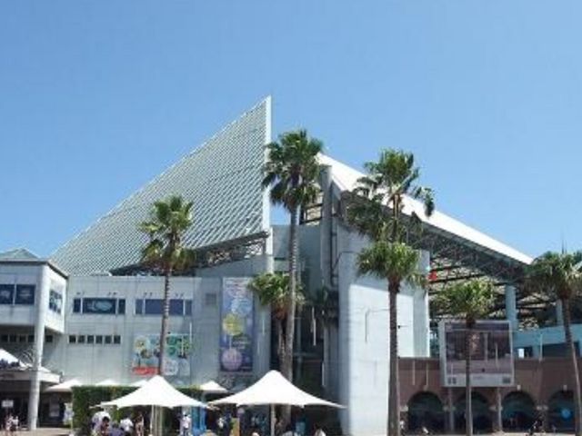 ���i���V�[�p���_�C�X_���l�E���i���V�[�p���_�C�X