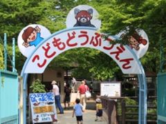 ����������̑������ւ̓��e�ʐ^1