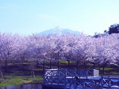 ߂̒Ìyxm΃p[Nւ̓eʐ^1