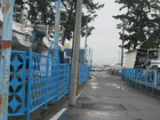 񂿂񂳂̎Oۃ}[i̓eʐ^1