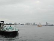 񂳂JICOO@The Floating Bar̓eʐ^1