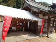 ǧF_ЁiRq~sj̓eʐ^3