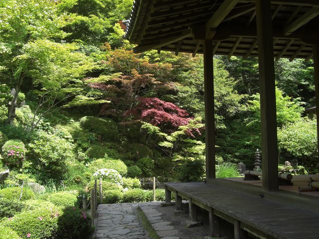 明寿院庭園_明寿院(金剛輪寺本坊)