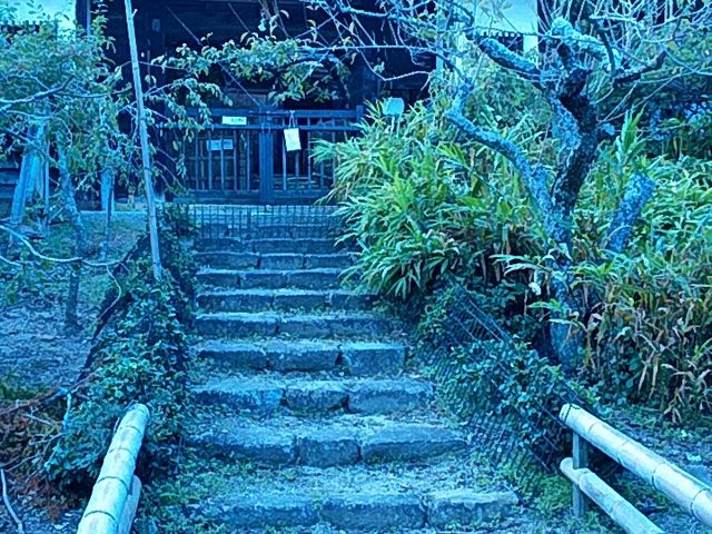 �Ԃ񂽂���̑�Տh�e�{�w�̓��e�ʐ^1