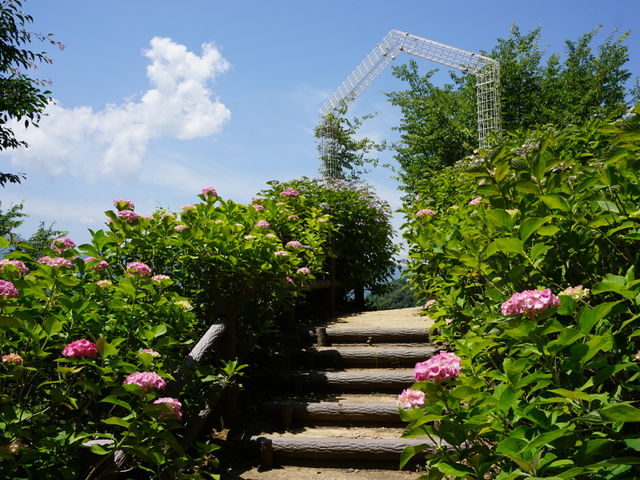 �Ƃ����ܐA����