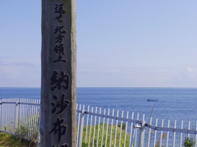 �[���z���̓�_�[���z��