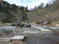 ɂǂ񂳂̉Tόēւ̓eʐ^7