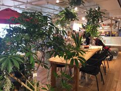 �䂫�Ȃ���̑��G�A�|�[�g�A�N�^�X�ւ̓��e�ʐ^1